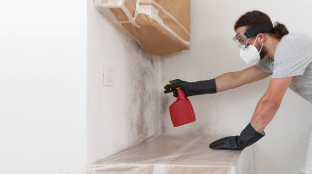 Professional Attic Mold Remediation technician working in Streamwood, IL