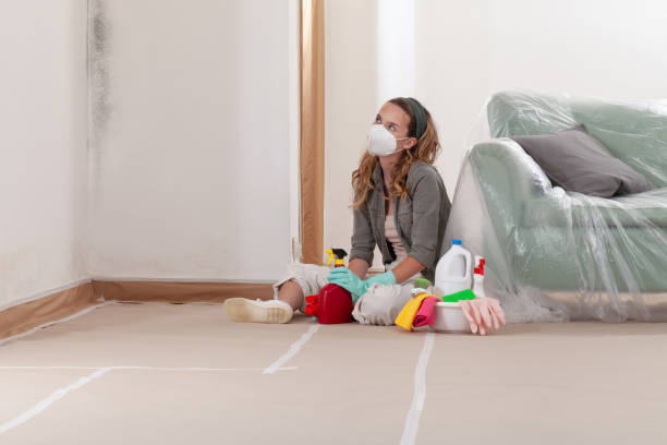 Reliable Attic Mold Remediation contractor in Streamwood, IL by 24 Hour Mold Removal